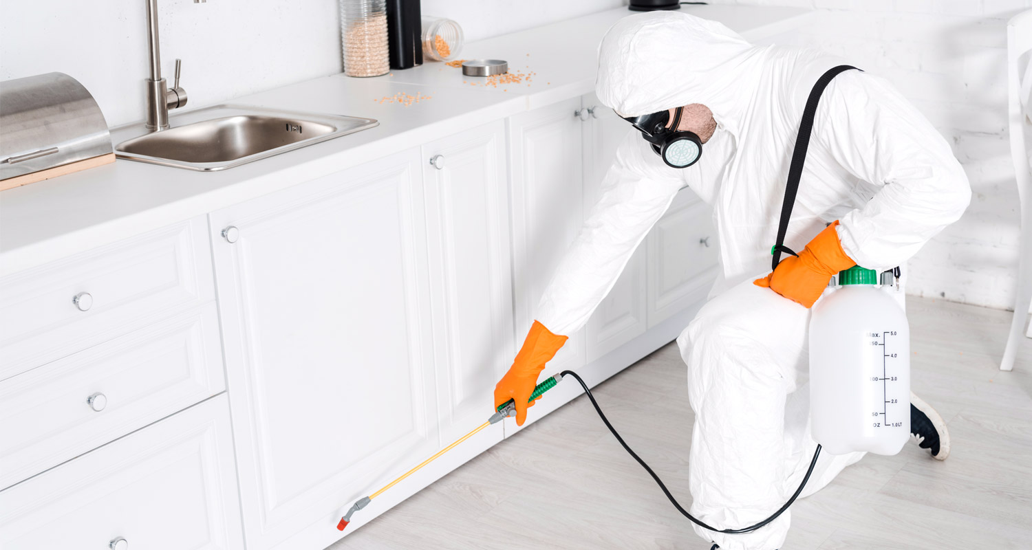 Agent anti-nuisible cuisine