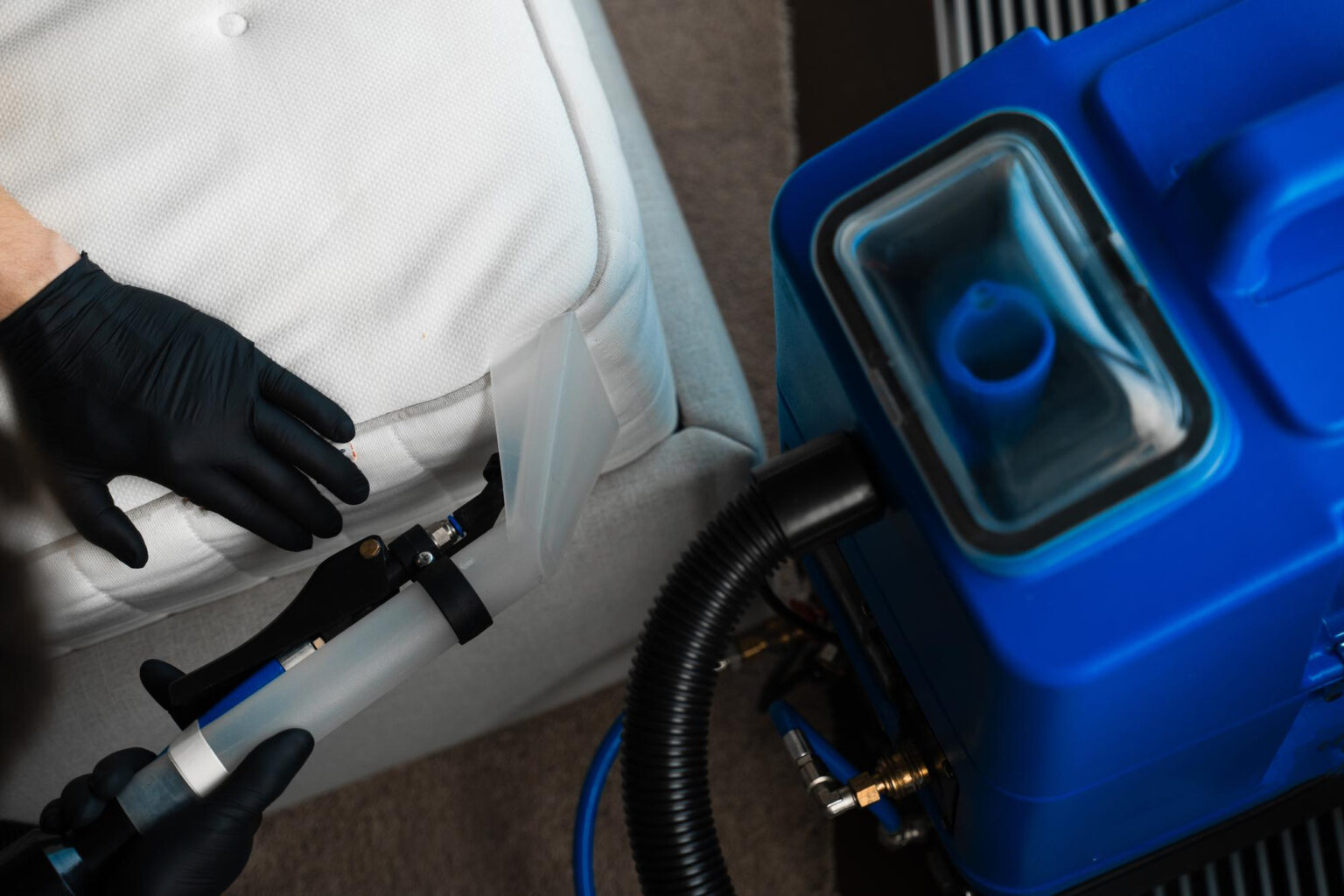 Appareil vapeur punaise de lit professionnel