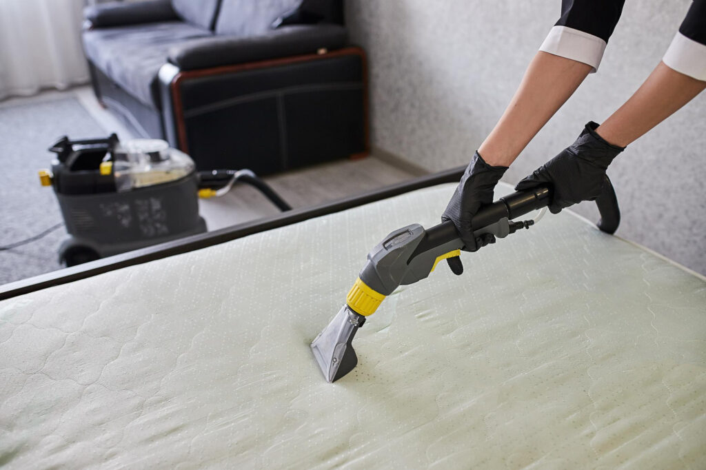 Traitement matelas punaise de lit