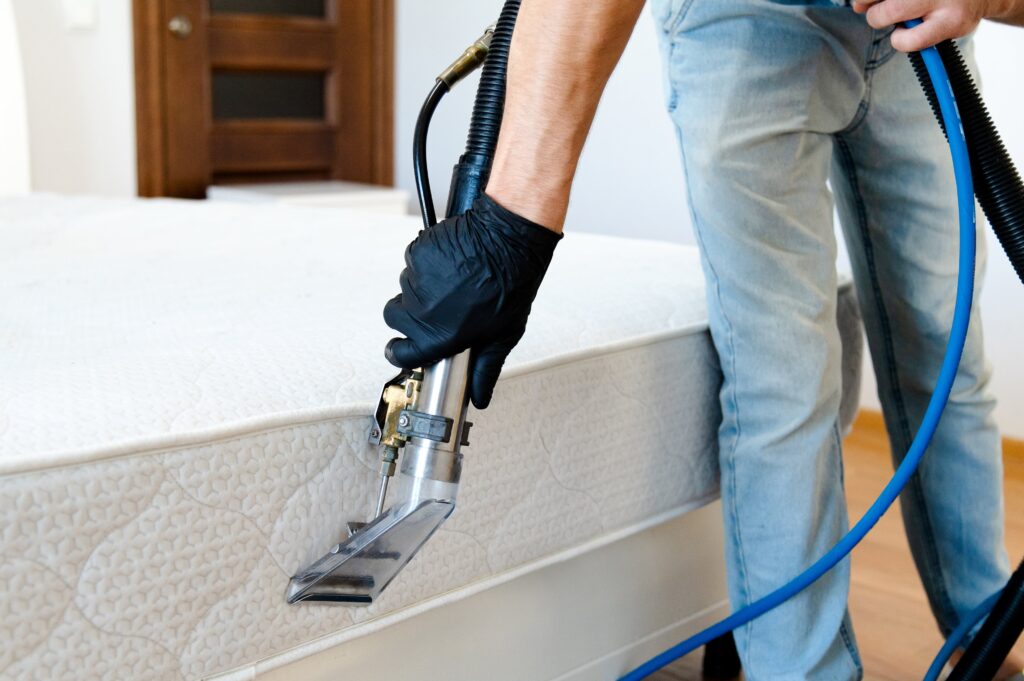 Traitement matelas punaise de lit