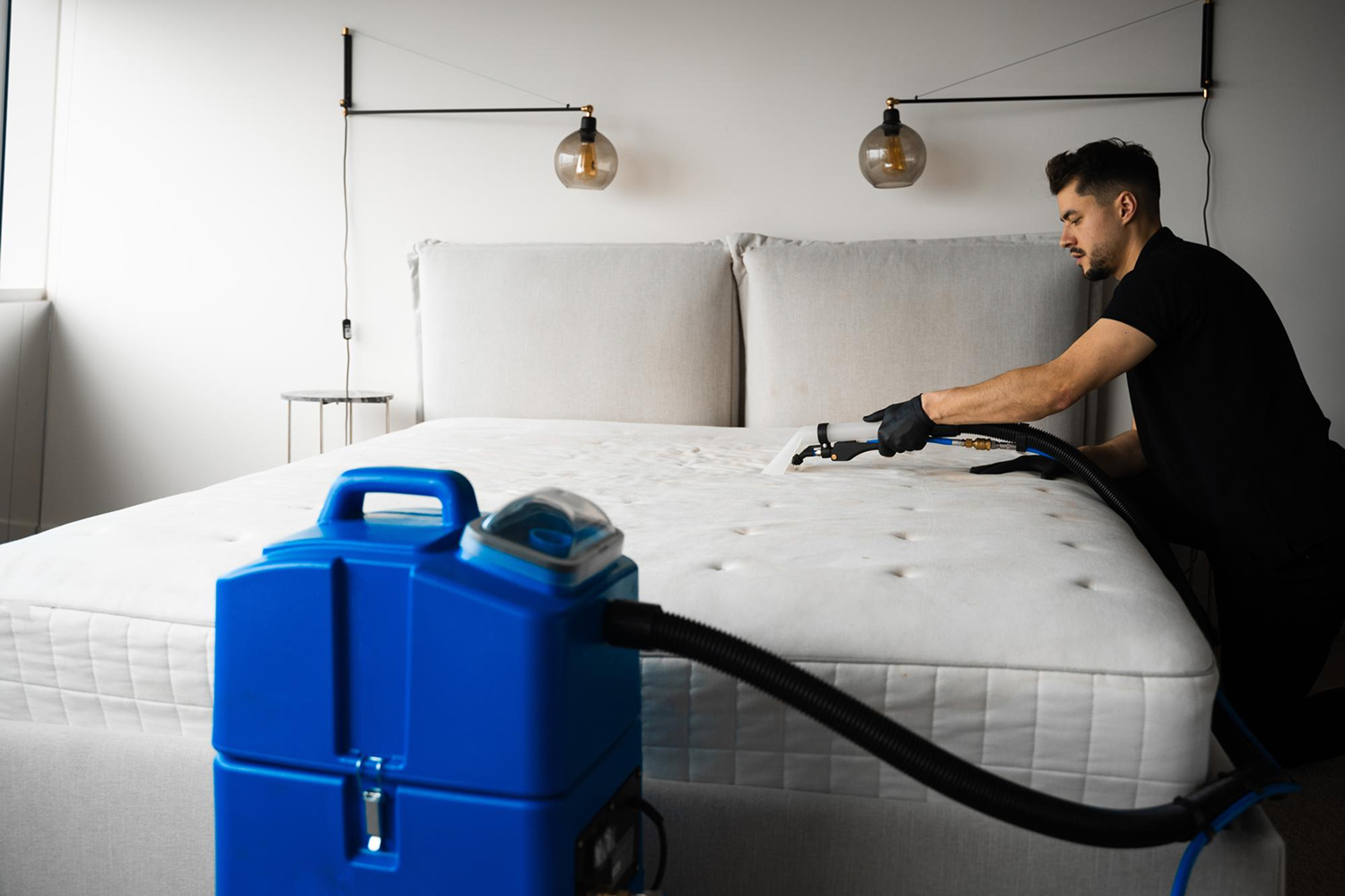 Traitement vapeur punaise de lit par un professionnel