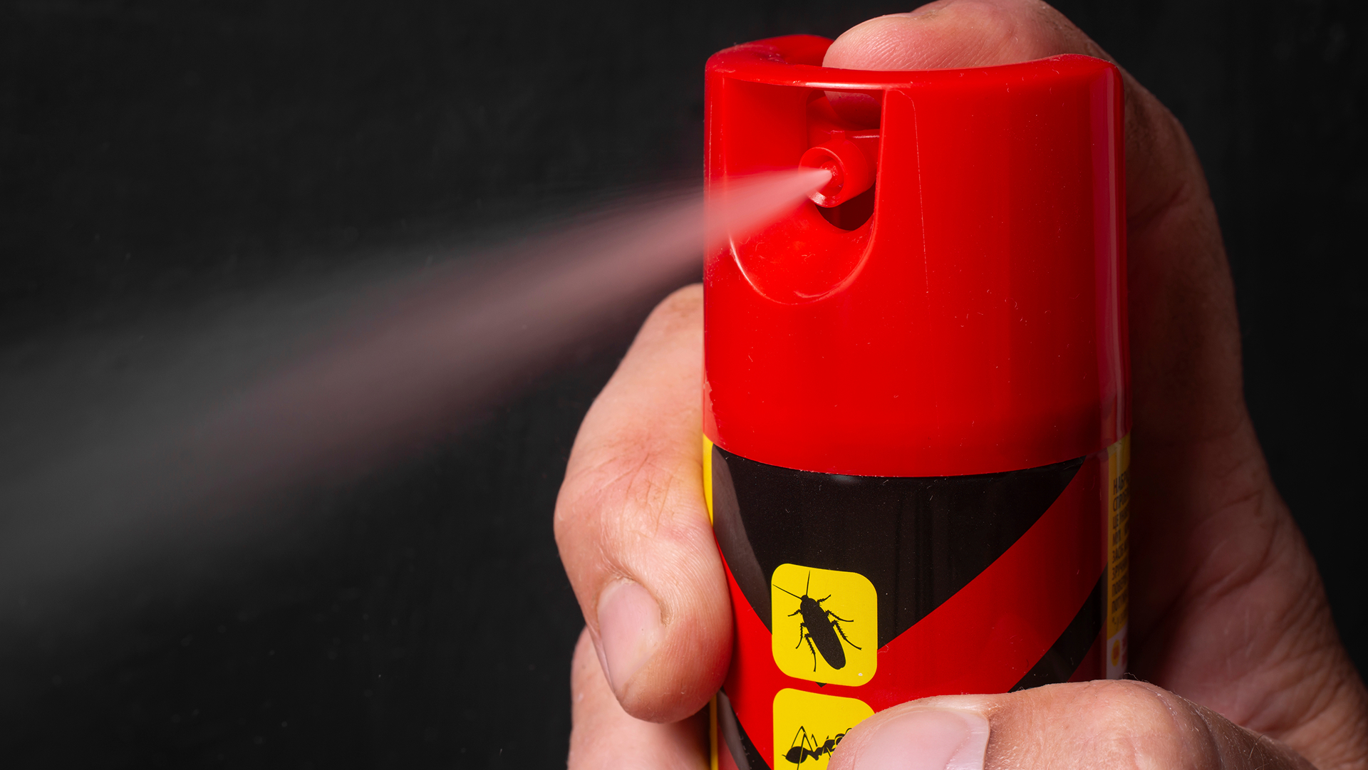 Produit anti-punaise de lit inefficace