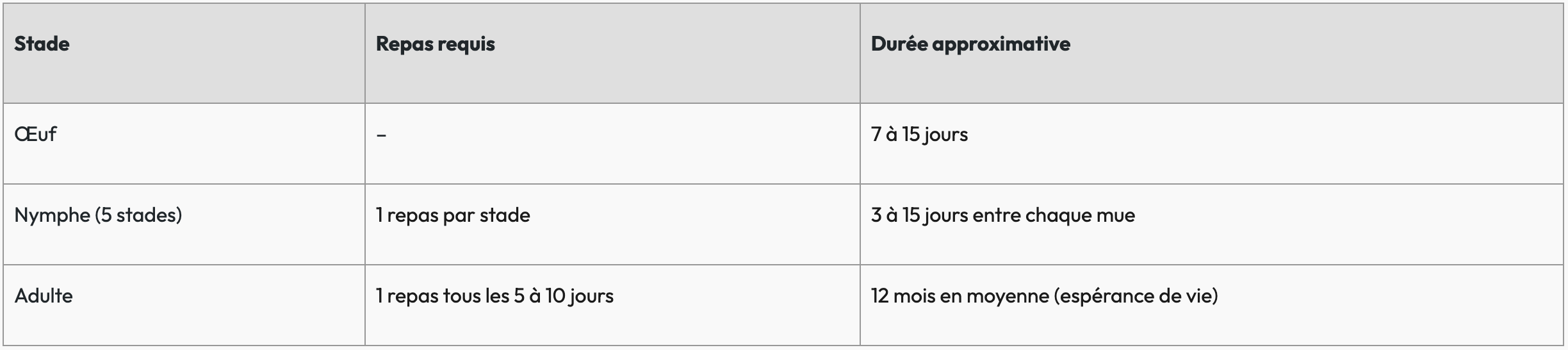 Cycle de développement d'une punaise de lit