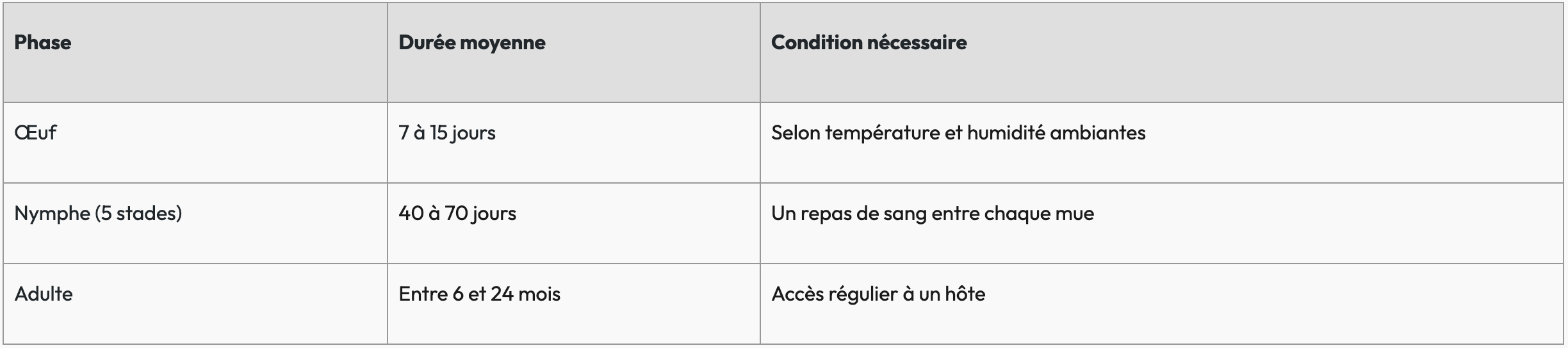 Cycle de reproduction des punaises de lit