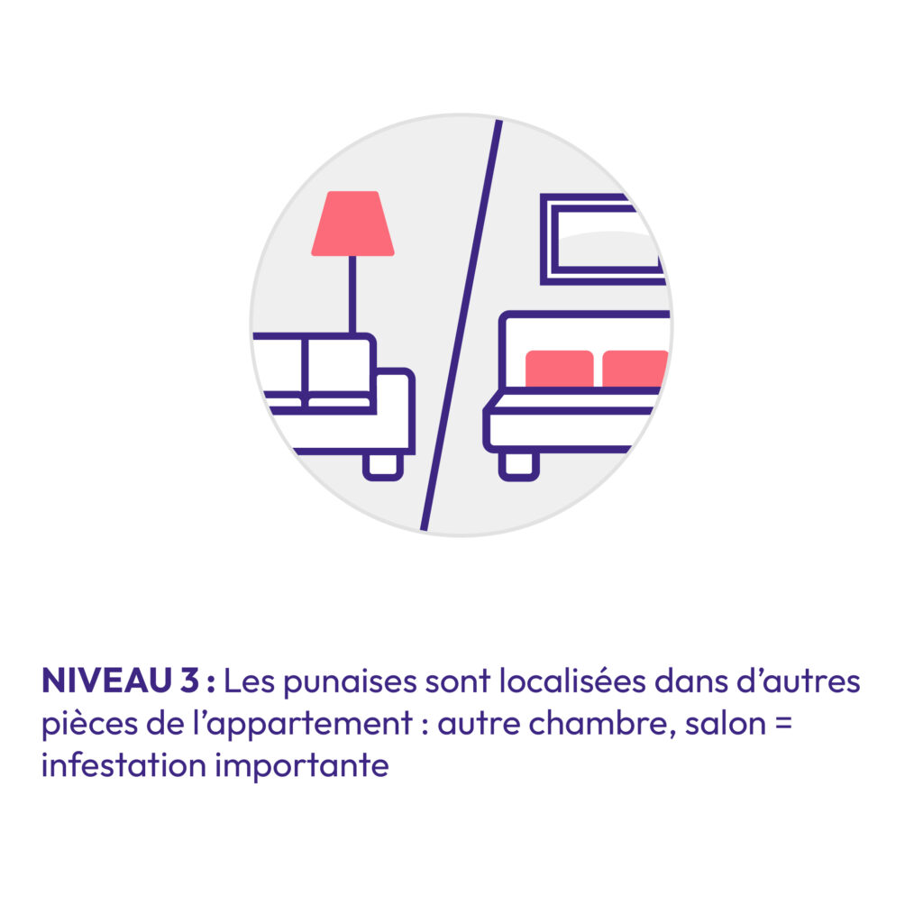 Pictogramme niveau 3 d'infestation : propagation à d'autres pièces