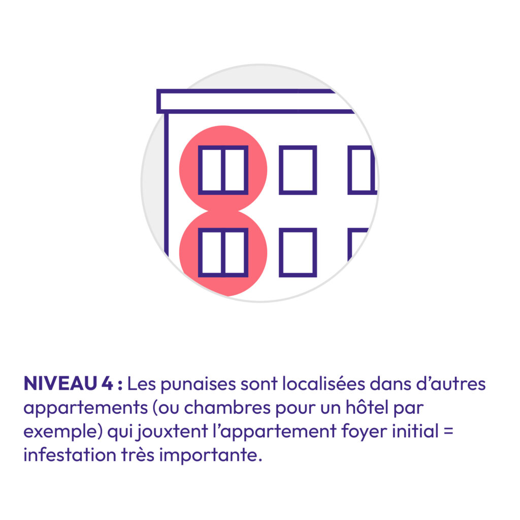 Pictogramme niveau 4 d'infestation : propagation à d'autres appartements
