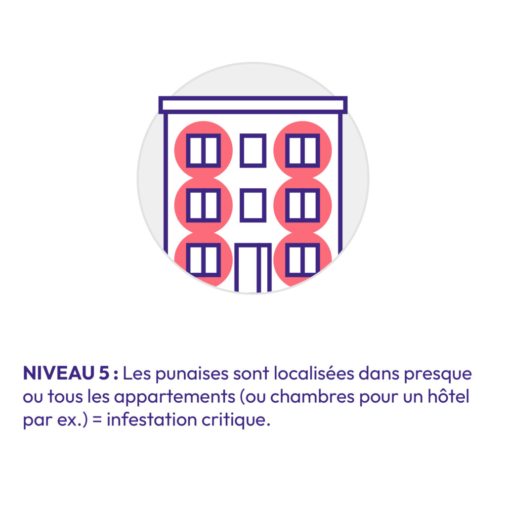Pictogramme niveau 5 d'infestation : presque tout l'immeuble touché