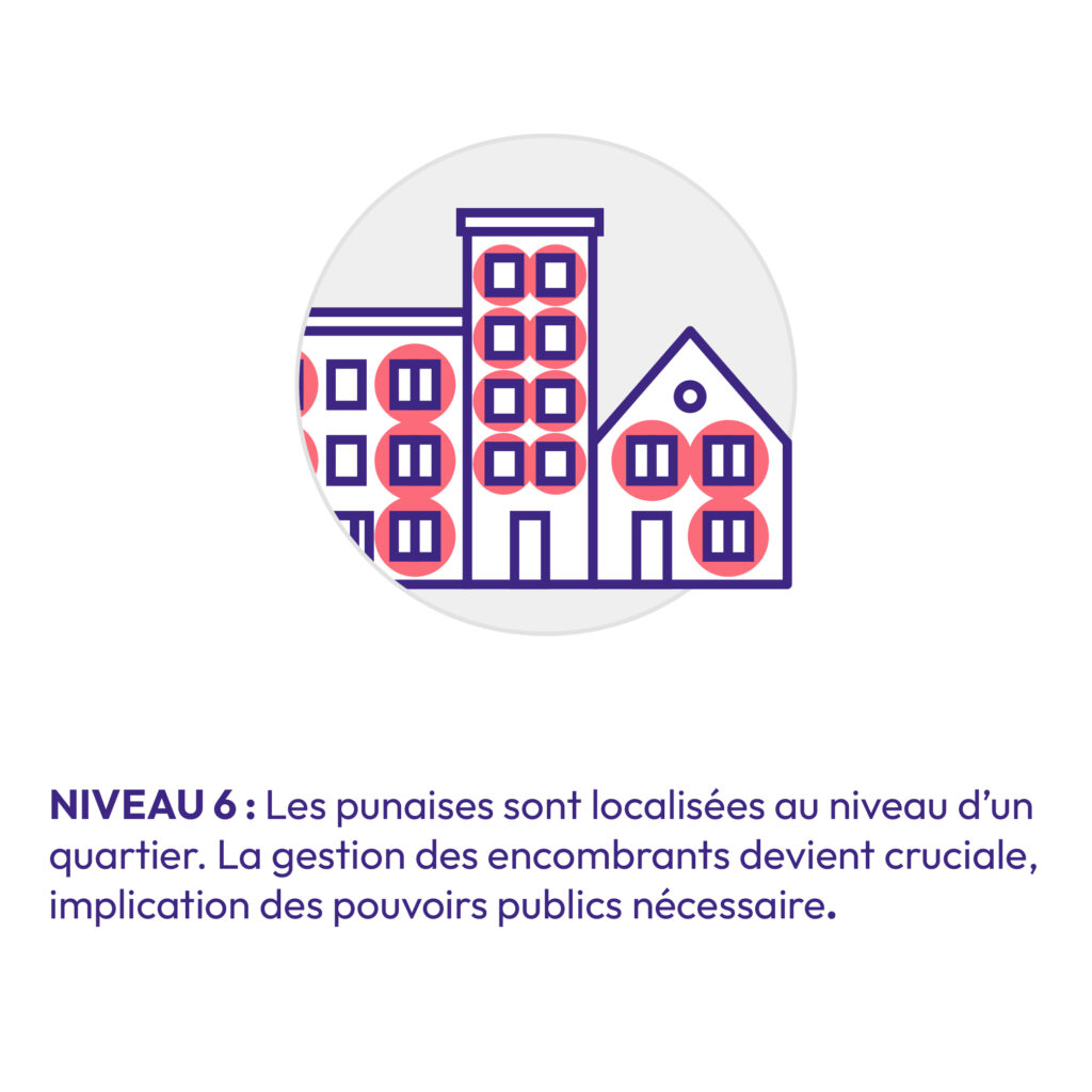 Pictogramme niveau 6 d'infestation : propagation à l'échelle d'un quartier