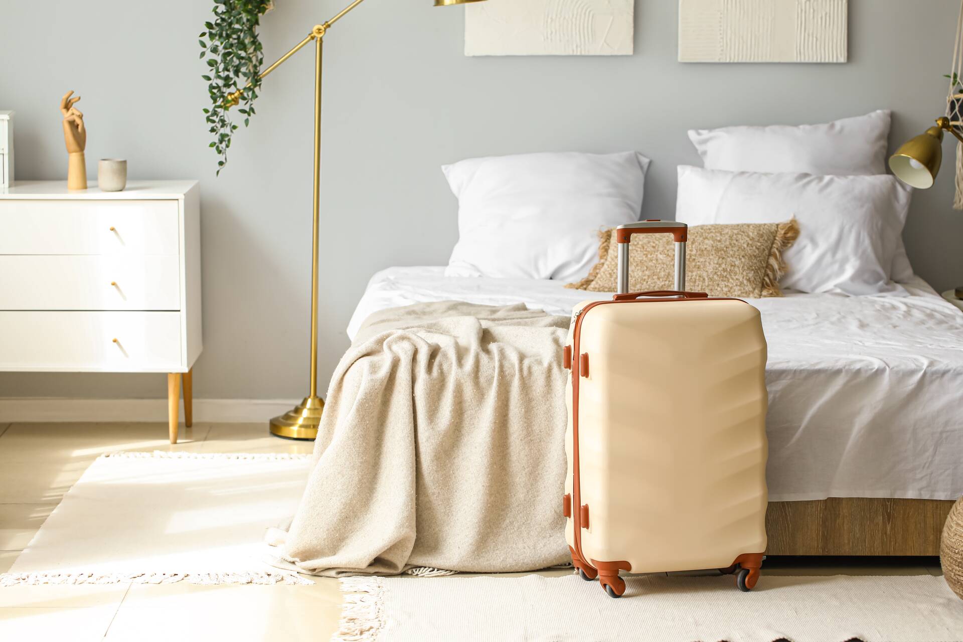 Retours de vacances : que faire si vous repérez des punaises de lit dans vos bagages ?